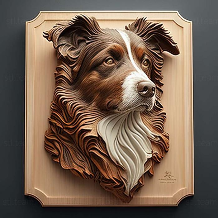 3D model Australian Shepherd dog (STL)